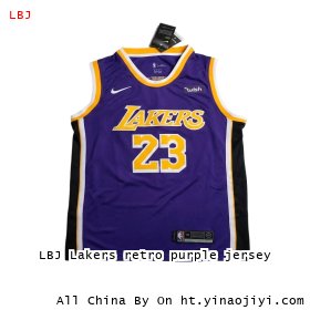LBJ Lakers retro purple jersey