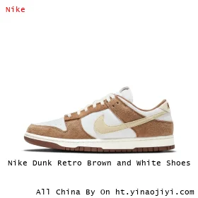 Nike Dunk Retro Brown and White Shoes