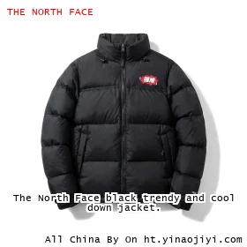 The North Face black trendy and cool down jacket.