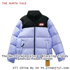The North Face Color - Blocking Trendy and Cool Down Jacket