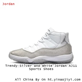 Trendy Silver and White Jordan AJ11 Sports Shoes