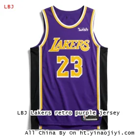 LBJ Lakers retro purple jersey
