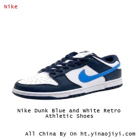 Nike Dunk Blue and White Retro Athletic Shoes