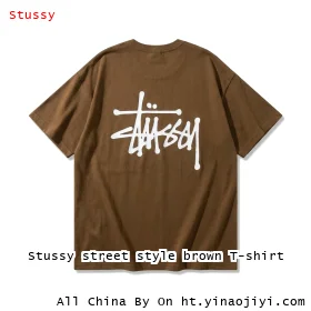 Stussy street style brown T-shirt