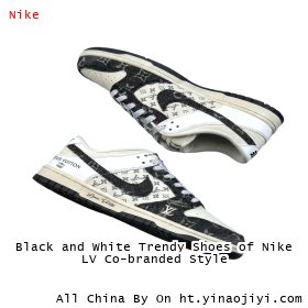 Black and White Trendy Shoes of Nike LV Co-branded Style