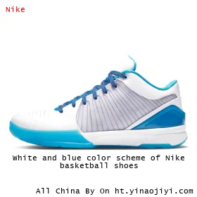White and blue color scheme of Nike basketball shoes