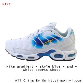 Nike gradient - style blue - and - white sports shoes