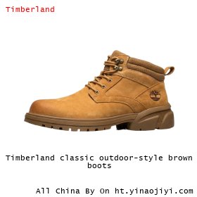 Timberland classic outdoor-style brown boots