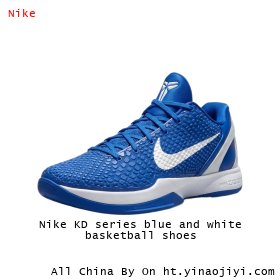 Nike KD series blue and white basketball shoes