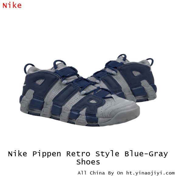 Nike Pippen Retro Style Blue-Gray Shoes