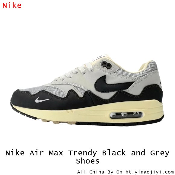 Nike Air Max Trendy Black and Grey Shoes
